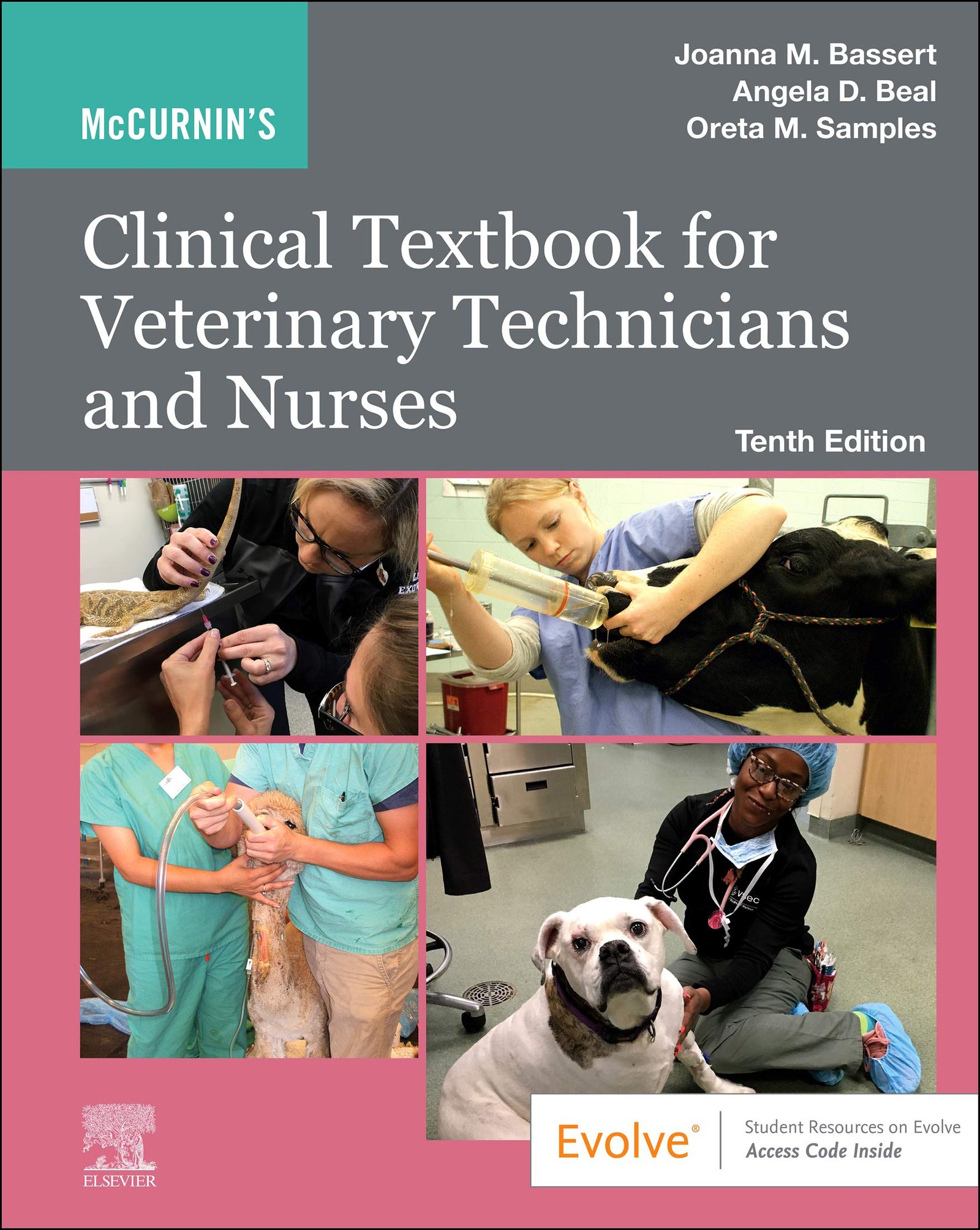 McCurnin's Clinical Textbook for Veterinary Technicians and Nurses E-Book - 10th Edition, Kindle Edition